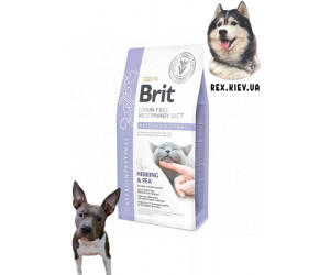 Brit VD Gastrointestinal Cat 0,4 кг