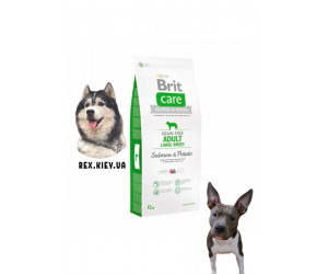 Brit Care (Брит Кеа) Adult Large Breed Salmon & Potato для взрослых собак крупных пород (лосось и картофель) 1 кг