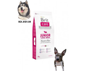 Brit Care (Брит Кеа) Junior Large Breed Lamb & Rice для щенков и молодых собак крупных пород (ягненок и рис) 1 кг