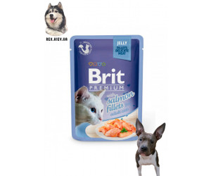 Brit Premium Филе лосося в желе для кошек 85 гр