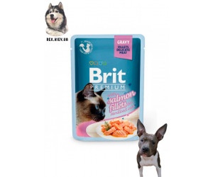 Brit Premium Филе лосося в соусе для стерилизованных кошек 85 гр