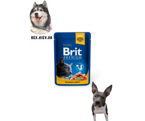 Brit Premium Кусочки с лососем и форелью для кошек 0,1 кг