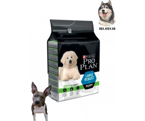 Pro Plan Puppy Large Robust для щенков крупных пород (курица и рис) 12 кг