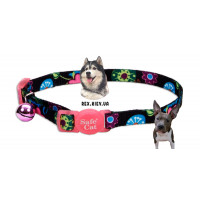 COASTAL LIT"L PALS SAFE CAT ОШЕЙНИК ДЛЯ КОТЯТ, 0,8СМХ20СМ COASTAL LIT"L PALS SAFE CAT ОШЕЙНИК ДЛЯ КОТЯТ, 0,8СМХ20СМ