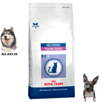 Сухой корм для кошек Royal Canin YOUNG MALE S/O 10кг Сухой корм для кошек Royal Canin YOUNG MALE S/O 10кг