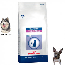 Сухой корм для кошек Royal Canin YOUNG MALE S/O 3.5кг Сухой корм для кошек Royal Canin YOUNG MALE S/O 3.5кг