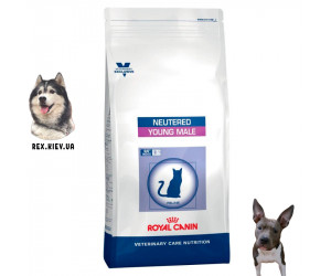 Сухой корм для кошек Royal Canin YOUNG MALE S/O 10кг