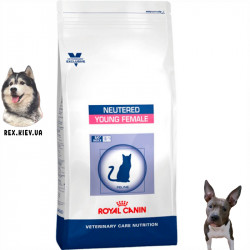 Сухой корм для кошек Royal Canin YOUNG FEMALE S/O 0.4 кг Сухой корм для кошек Royal Canin YOUNG FEMALE S/O 0.4 кг