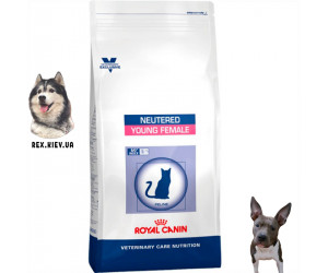 Сухой корм для кошек Royal Canin YOUNG FEMALE S/O 0.4 кг