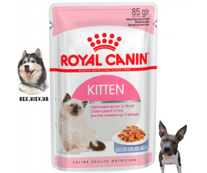 Консервы для котят Royal Canin KITTEN INSTINCTIVE IN JELLY, 85 гр