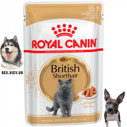 Консервы для кошек Royal Canin BRITISH SHORTHAIR ADULT, 85 гр Консервы для кошек Royal Canin BRITISH SHORTHAIR ADULT, 85 гр