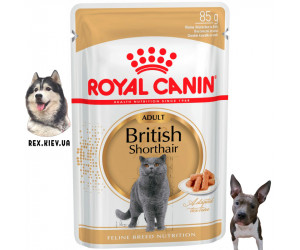 Консервы для кошек Royal Canin BRITISH SHORTHAIR ADULT, 85 гр
