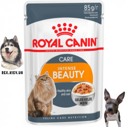 Консервы для кошек Royal Canin INTENSE BEAUTY IN JELLY 0,085 кг Консервы для кошек Royal Canin INTENSE BEAUTY IN JELLY 0,085 кг