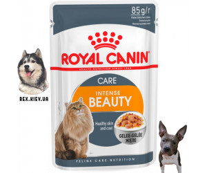 Консервы для кошек Royal Canin INTENSE BEAUTY IN JELLY 0,085 кг
