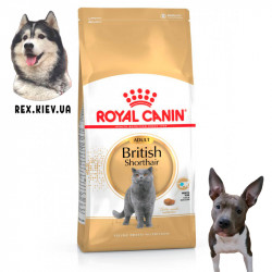 Сухой корм для кошек Royal Canin BRITISH SHORTHAIR ADULT 2 кг