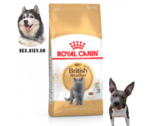Сухой корм для кошек Royal Canin BRITISH SHORTHAIR ADULT 0.4 кг