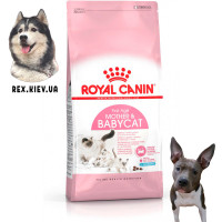 Сухой корм для котят Royal Canin MOTHER and BABYCAT 4 кг