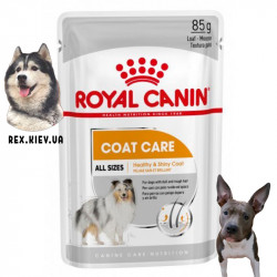 Влажный корм для собак Royal Canin COAT BEAUTY LOAF 0,085 кг Влажный корм для собак Royal Canin COAT BEAUTY LOAF 0,085 кг
