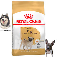 Сухой корм для собак Royal Canin PUG ADULT 0,5 кг Сухой корм для собак Royal Canin PUG ADULT 0,5 кг