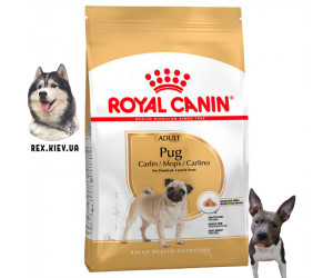 Сухой корм для собак Royal Canin PUG ADULT 0,5 кг