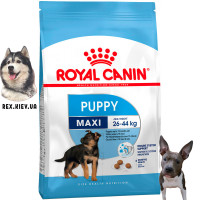 Сухой корм для щенков Royal Canin MAXI PUPPY 4 кг Сухой корм для щенков Royal Canin MAXI PUPPY 4 кг