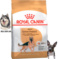 Сухой корм для собак Royal Canin GERMAN SHEPHERD ADULT 3 кг Сухой корм для собак Royal Canin GERMAN SHEPHERD ADULT 3 кг