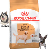 Сухой корм для собак Royal Canin LABRADOR ADULT 3 кг Сухой корм для собак Royal Canin LABRADOR ADULT 3 кг