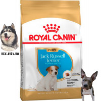 Сухой корм для щенков Royal Canin Jack Russell Puppy 3 кг Сухой корм для щенков Royal Canin Jack Russell Puppy 3 кг