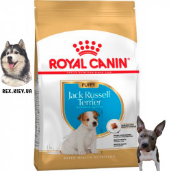 Сухой корм для щенков Royal Canin Jack Russell Puppy 3 кг Сухой корм для щенков Royal Canin Jack Russell Puppy 3 кг