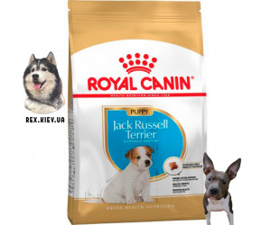 Сухой корм для щенков Royal Canin Jack Russell Puppy 0,5 кг