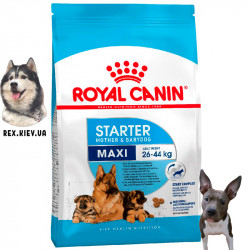 Сухой корм для щенков Royal Canin MAXI STARTER 4 кг Сухой корм для щенков Royal Canin MAXI STARTER 4 кг