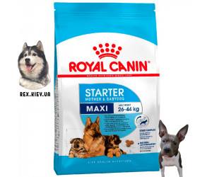 Сухой корм для щенков Royal Canin MAXI STARTER 1 кг