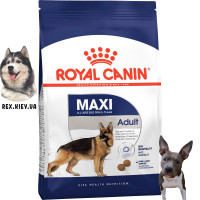 Сухой корм для собак Royal Canin MAXI ADULT 4 кг Сухой корм для собак Royal Canin MAXI ADULT 4 кг