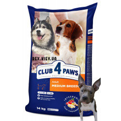 CLUB 4 PAWS Премиум для средних пород. Полнорационный сухой корм для взрослых собак, 14 кг CLUB 4 PAWS Премиум для средних пород. Полнорационный сухой корм для взрослых собак, 14 кг