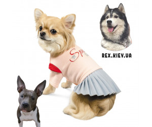 Костюм девочка СПЕЙС Pet Fashion для собак, M