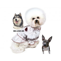 Pet Fashion Вышиванка Марийка M