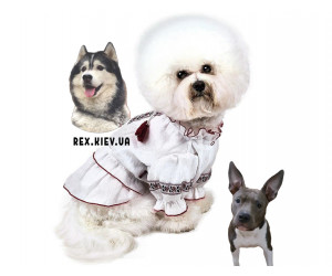 Pet Fashion Вышиванка Марийка M