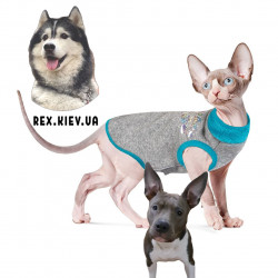 Свитер BRUCE Pet Fashion для котов бирюзовый, S Свитер BRUCE Pet Fashion для котов бирюзовый, S