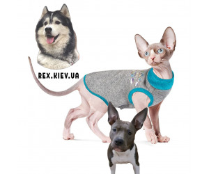 Свитер BRUCE Pet Fashion для котов бирюзовый, S 