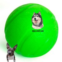 Игрушка Flamingo Foam Dina Ball ФЛАМИНГО мяч для собак с ароматом мяты 
