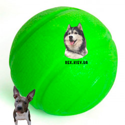 Игрушка Flamingo Foam Dina Ball ФЛАМИНГО мяч для собак с ароматом мяты 