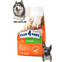 CLUB 4 PAWS Премиум для котят "Курица". Полнорационный сухой корм, 5 кг CLUB 4 PAWS Премиум для котят "Курица". Полнорационный сухой корм, 5 кг