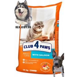 CLUB 4 PAWS Премиум "С Лососем". Полнорационный сухой корм для взрослых кошек, 14 кг CLUB 4 PAWS Премиум "С Лососем". Полнорационный сухой корм для взрослых кошек, 14 кг
