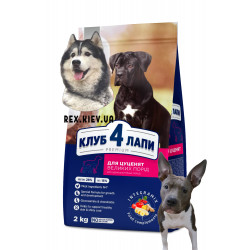 CLUB 4 PAWS Премиум для щенков крупных пород "Курица". Полнорационный сухой корм, 2 кг CLUB 4 PAWS Премиум для щенков крупных пород "Курица". Полнорационный сухой корм, 2 кг
