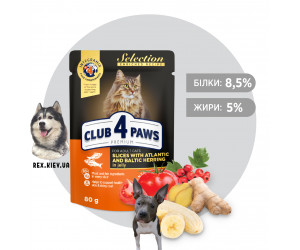 CLUB 4 PAWS Премиум "Кусочки с селедкой и салакой в желе". Полнорационный консервированный корм для взрослых кошек, 0,08 кг