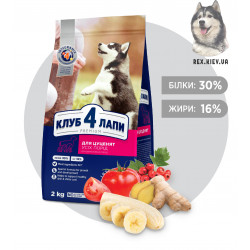 CLUB 4 PAWS Премиум для щенков всех пород "С высоким содержанием курицы". Полнорационный сухой корм, 2кг CLUB 4 PAWS Премиум для щенков всех пород "С высоким содержанием курицы". Полнорационный сухой корм, 2кг